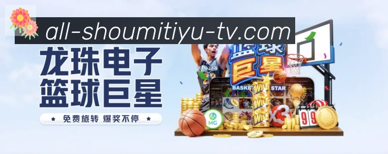 登录器